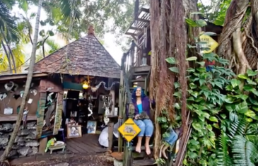 Woman living in a treehouse