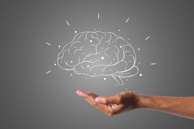 How the Brain processes Content Creation