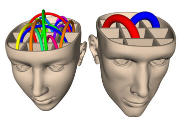 The Neuroscience of how Women’s and Men’s Brains differ