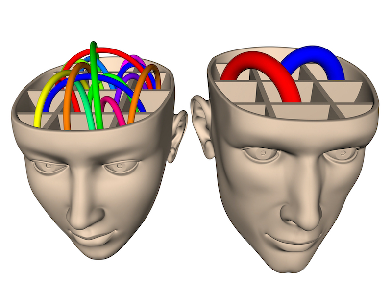 The Neuroscience of how Women’s and Men’s Brains differ