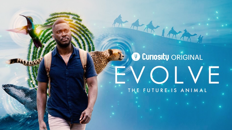 ‘Evolve’ with Patrick Aryee